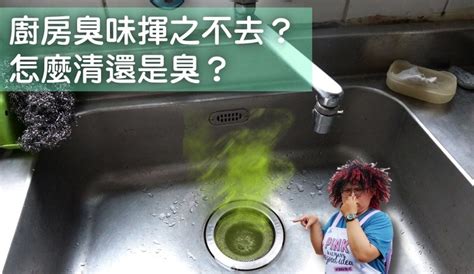 臭水溝|【廚房除臭】廚房下水道臭味揮之不去？怎麼清還是臭？